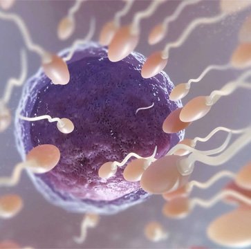 Male Infertility